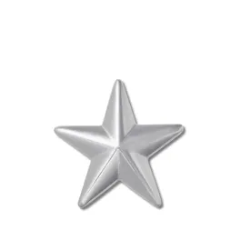 ตัวติดรองเท้า JIBBITZ™ SILVER STAR BADGE