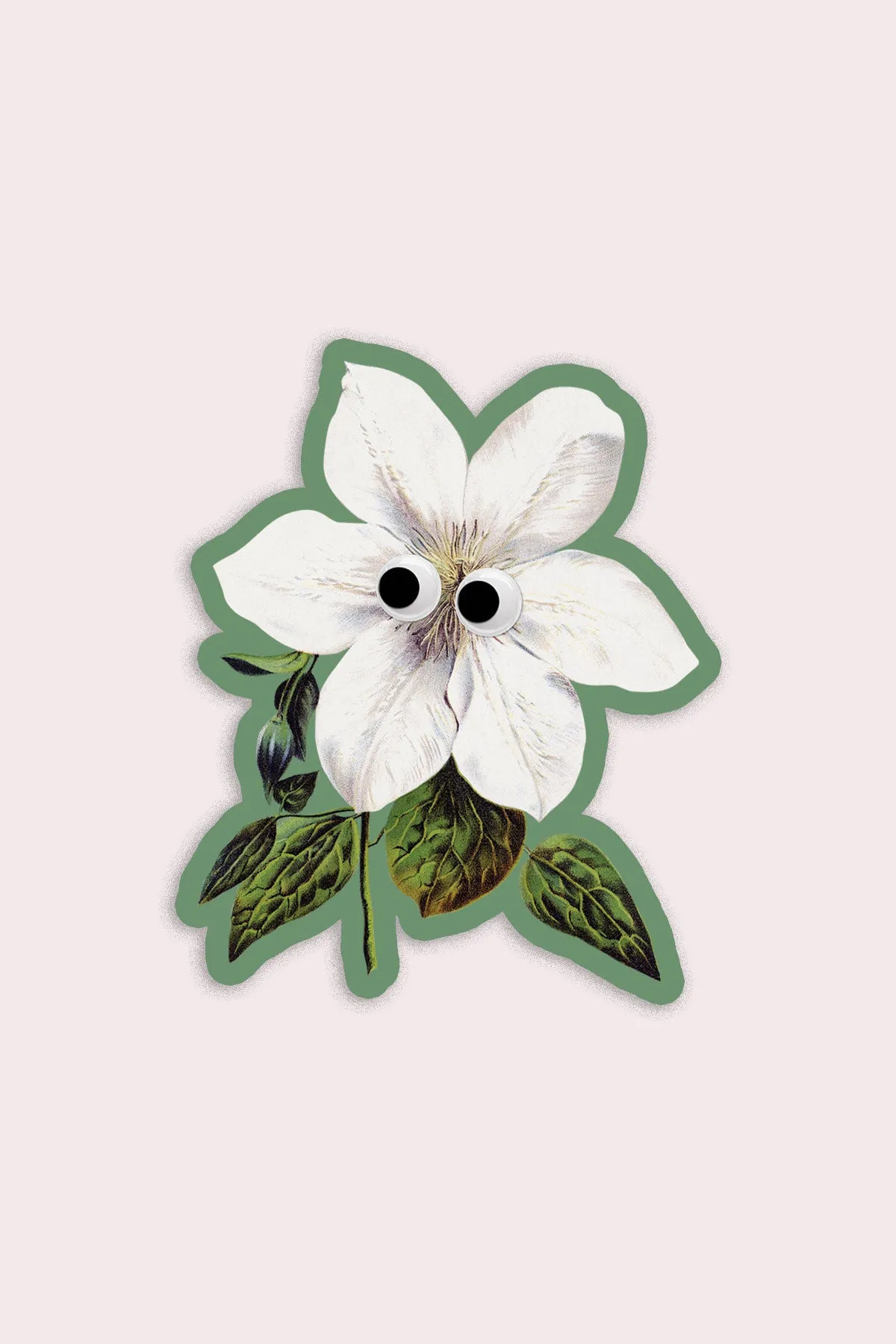 Googly Clematis Vinyl Sticker