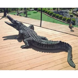 Life-size Bronze Alligator Statue