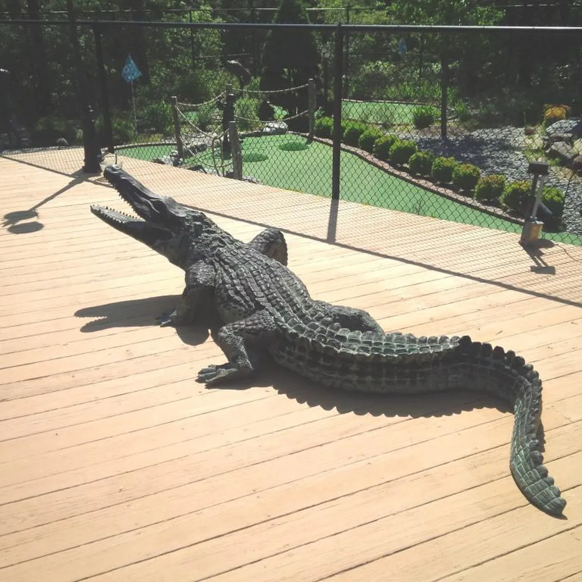 Life-size Bronze Alligator Statue