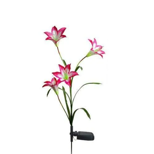 Lovely Lily Solar Powered LED Lights