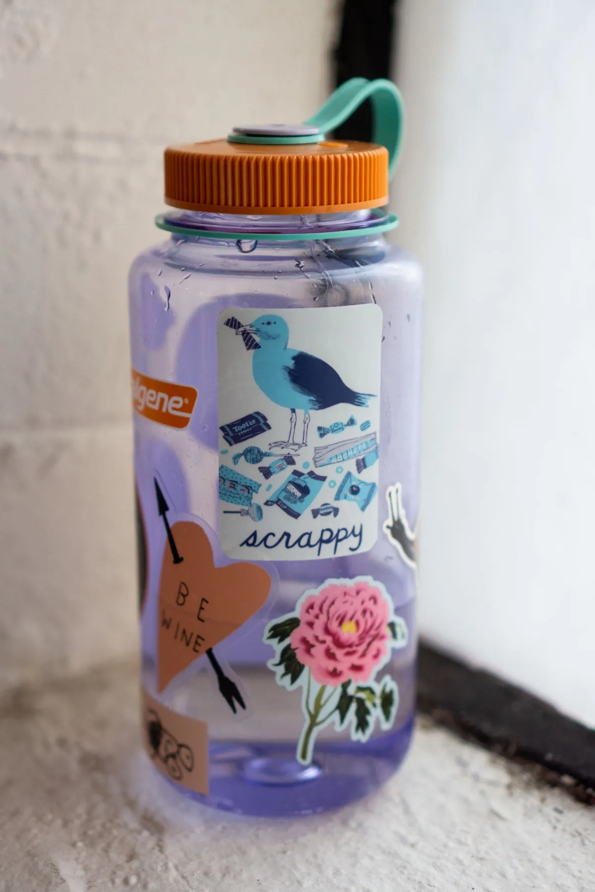 Scrappy Seagull Vinyl Sticker