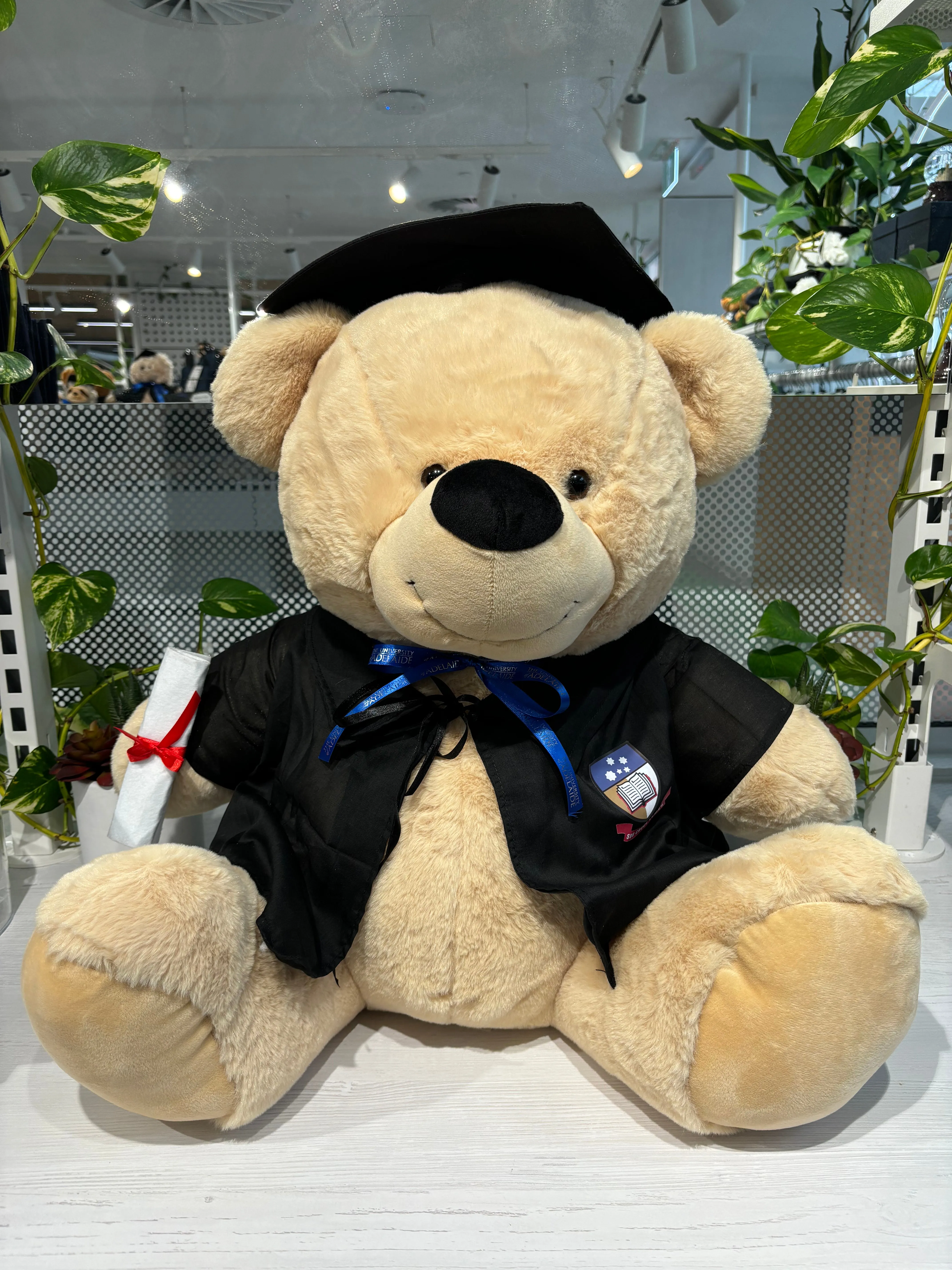 Stanley Giant Graduation Bear 60cm